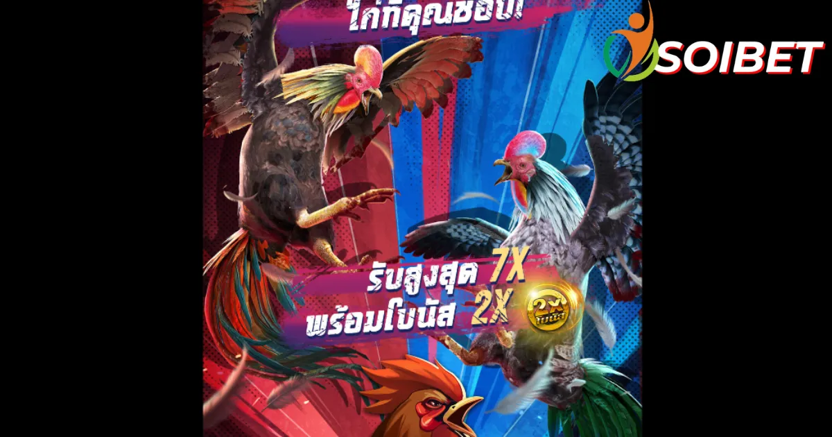 แนะนำเกม Cockfighting Arena